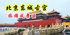 男女摸B流水免费视频中国北京-东城古宫旅游风景区